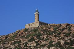 67-San Pietro,28 luglio 2014